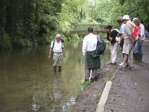 Adrian Rundle looks for aquatic fauna